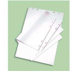 Slika izdelka: Blok demo Nobo bel 580X485 1/1 40 listov (34631170)