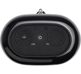 Slika izdelka: JBL Tuner XL prenosni brezžični zvočnik, DAB/FM radio, črn 