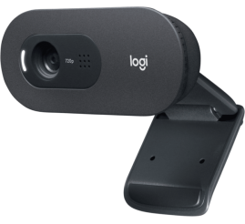 Slika izdelka: Logitech C505e HD spletna kamera