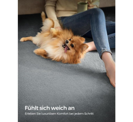 Slika izdelka: SONGMICS Preproga, 200 x 290 cm