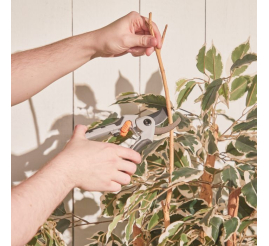 Slika izdelka: VonHaus set za obrezovanje